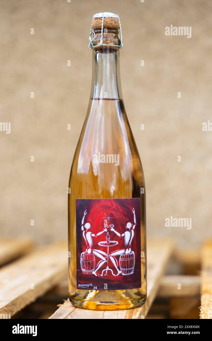 Frankreich, Indre, Reuilly, Domaine Charpentier Stockfoto
