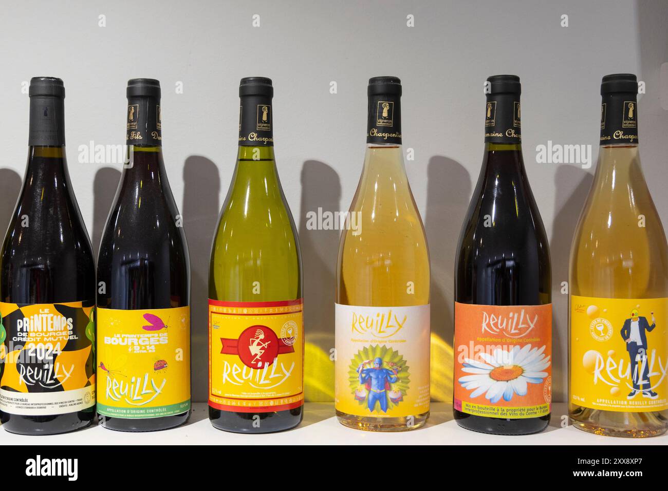 Frankreich, Indre, Reuilly, Domaine Charpentier Stockfoto