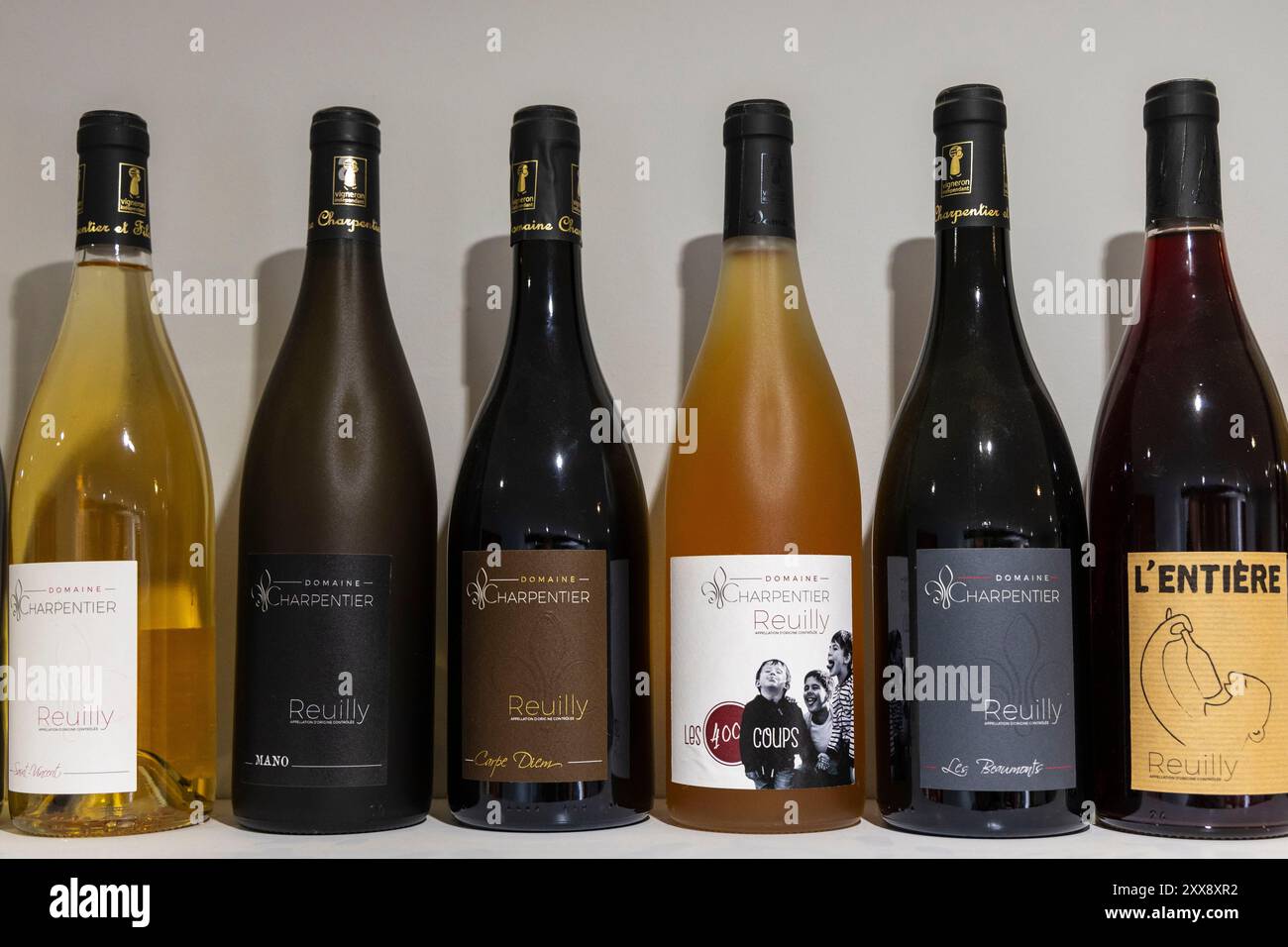 Frankreich, Indre, Reuilly, Domaine Charpentier Stockfoto