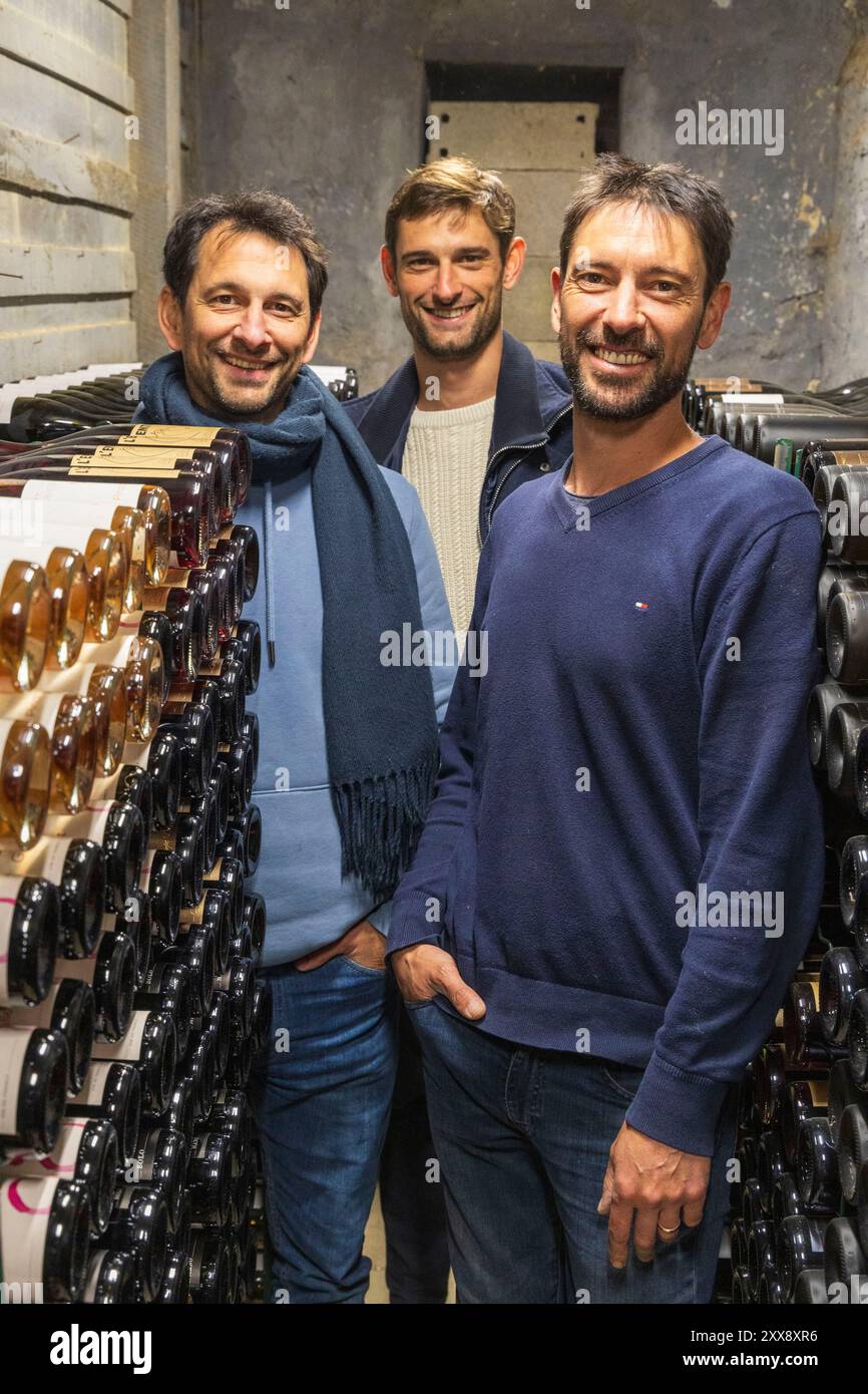 Frankreich, Indre, Reuilly, Domaine Charpentier, die Brüder Charpentier in ihrer Weinbibliothek, Jean Baptiste, Etienne und Geraud Stockfoto