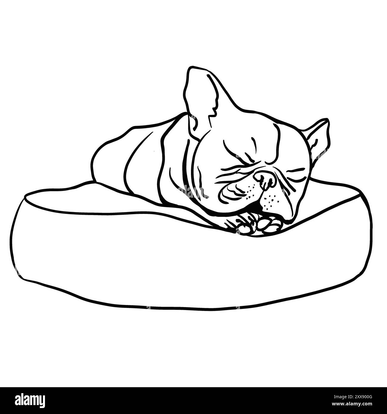 Französische Bulldogge liegt auf einem Kissen. Flacher Fang. Der Hund schläft, die Ohren hoch. Schwarzweißskizze. Mit einer Linie gezeichnet. Kein Hintergrund. Stockfoto