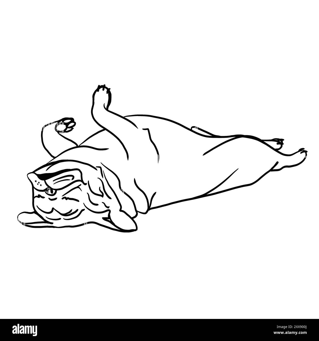 Die französische Bulldogge liegt auf dem Rücken. Flacher Fang. Der Hund schläft, die Pfoten hoch. Schwarzweißskizze. Mit einer Linie gezeichnet. Kein Hintergrund. Stockfoto