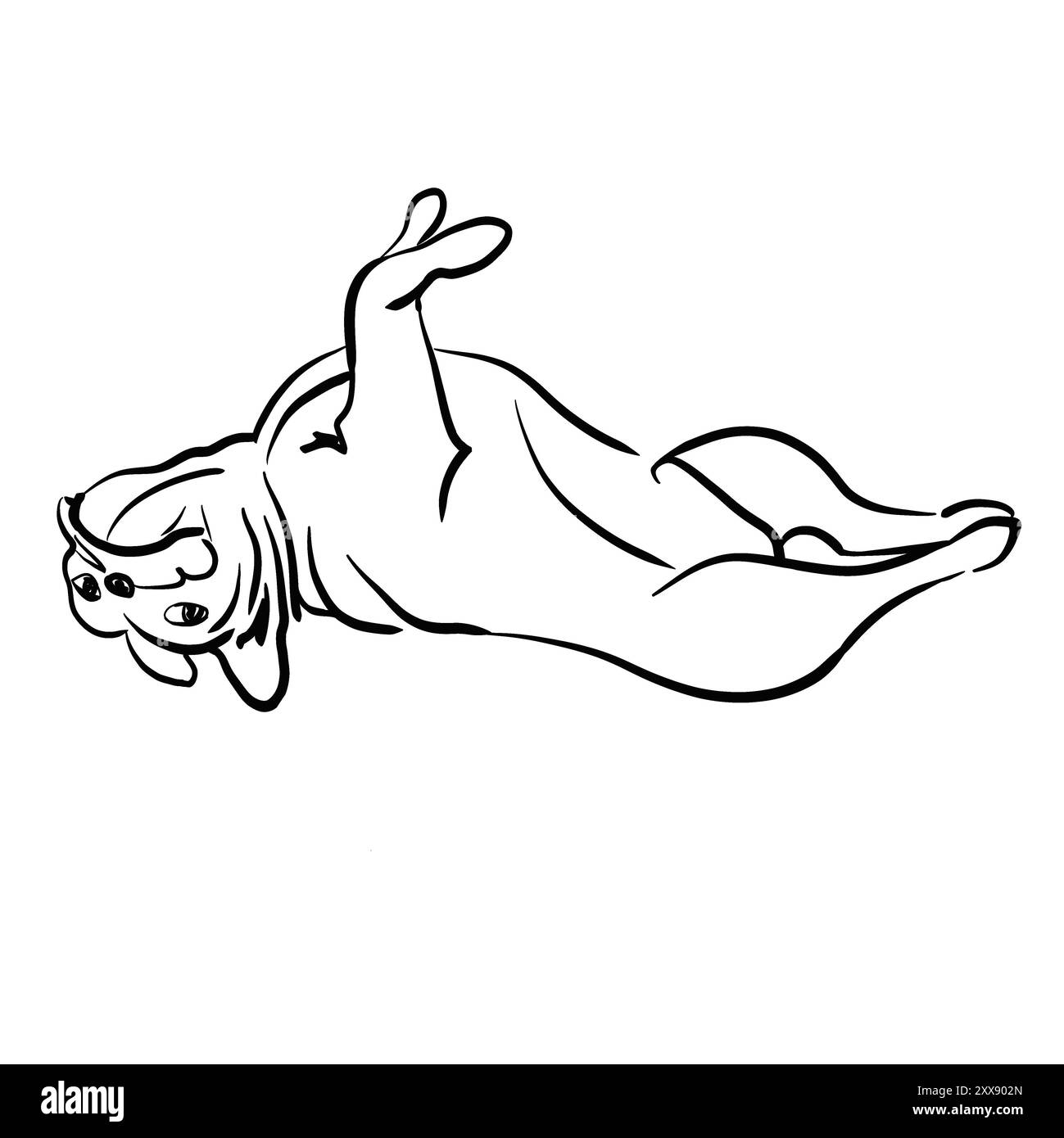 Die französische Bulldogge liegt auf dem Rücken. Flacher Fang. Spielt glücklich. Schwarzweißskizze. Mit einer Linie gezeichnet. Kein Hintergrund. Stockfoto