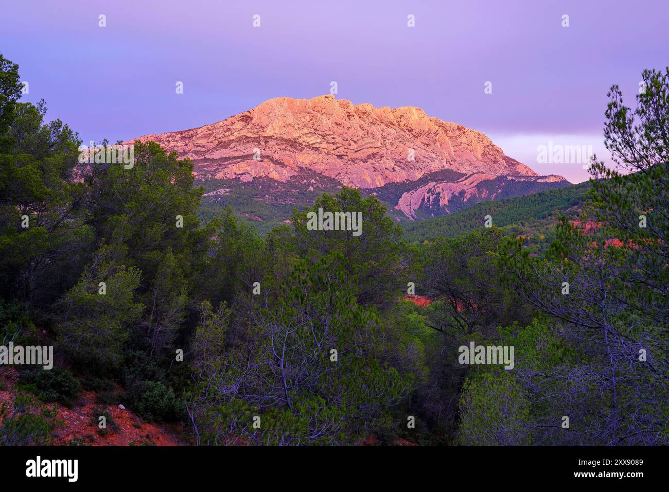 Frankreich, Bouches du Rhone, Pays d'Aix, Beaurecueil, Berg Sainte Victoire Stockfoto