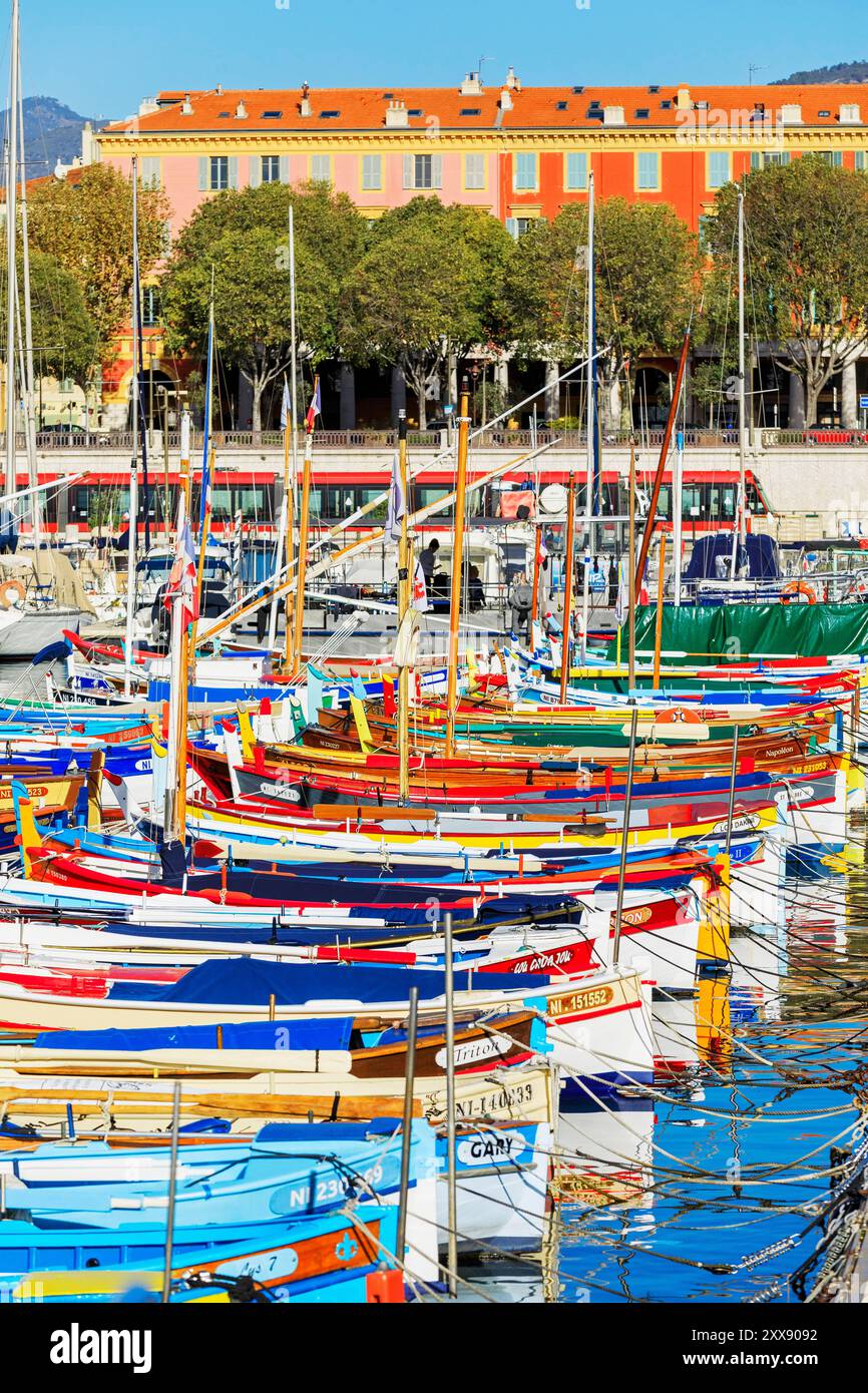 Frankreich, Alpes Maritimes, Nizza, der alte Hafen, Les Pointus, die Straßenbahn im Hintergrund Stockfoto