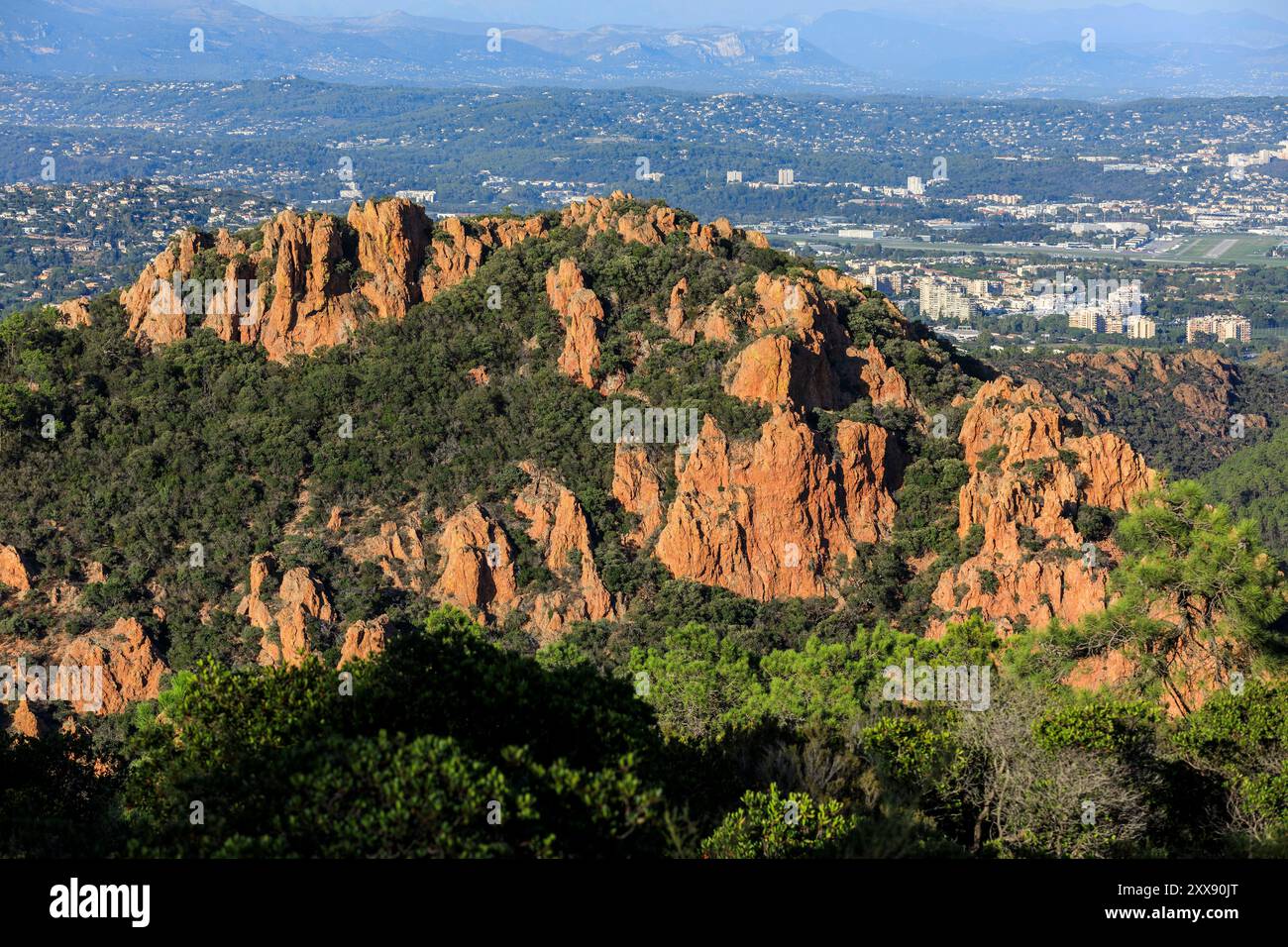 Frankreich, Alpes Maritimes, Mandelieu La Napoule, Esterel-Massiv, Umgebung des Maure Vieil, Mont Saint Martin Stockfoto