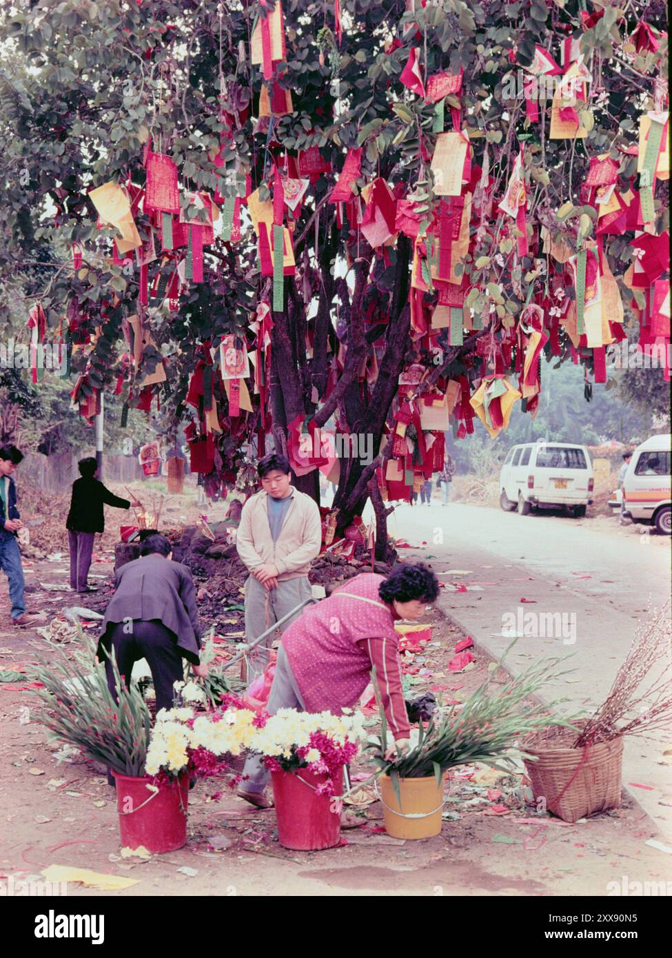 Anbeter, die auf Glück hoffen, Bäume wünschen, Lam Tsuen, New Territories, Hongkong, - am Neujahrsfest 1984. Die Papiere in den Bäumen wurden dort geworfen. Stockfoto