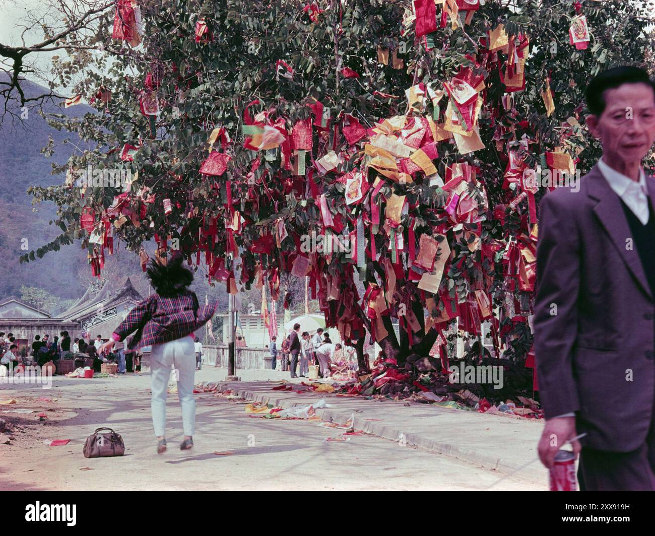 Anbeter, die auf Glück hoffen, Bäume wünschen, Lam Tsuen, New Territories, Hongkong, - am Neujahrsfest 1984. Die Papiere in den Bäumen wurden dort geworfen. Stockfoto