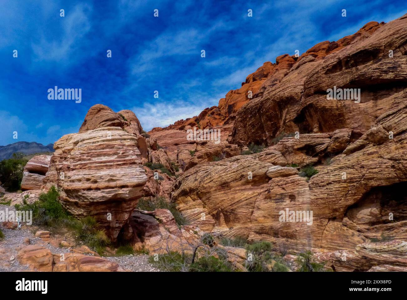 Nevada, Amerika. Landschaftsaufnahme des Red Rock Canyon in der Nähe von La Vegas ohne Menschen. März 2004 Stockfoto