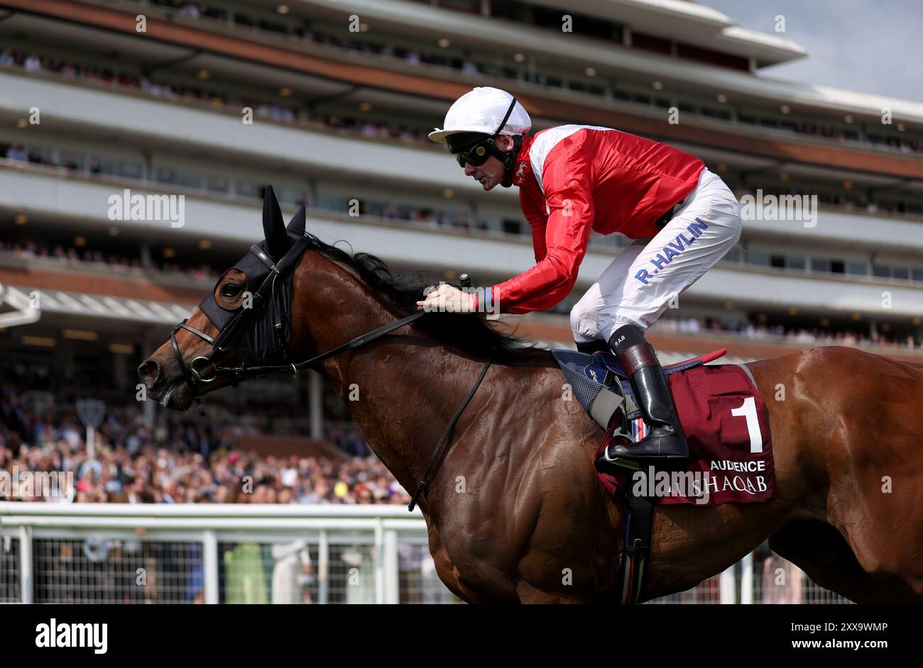 Aktenfoto vom 18.05.2024 von Jockey Robert Havlin. Das Publikum will seine herausragende 2024-Kampagne verbessern, indem es eine bessere als vor 12 Monaten in den Sky Bet City of York Stakes macht. Ausgabedatum: Freitag, 23. August 2024. Stockfoto