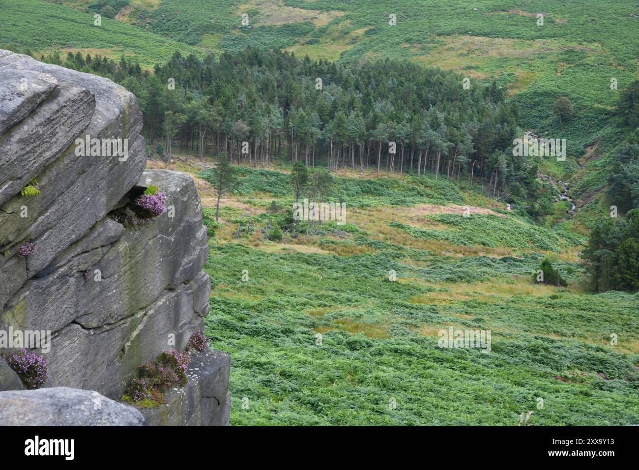 Peak District National Park Stockfoto