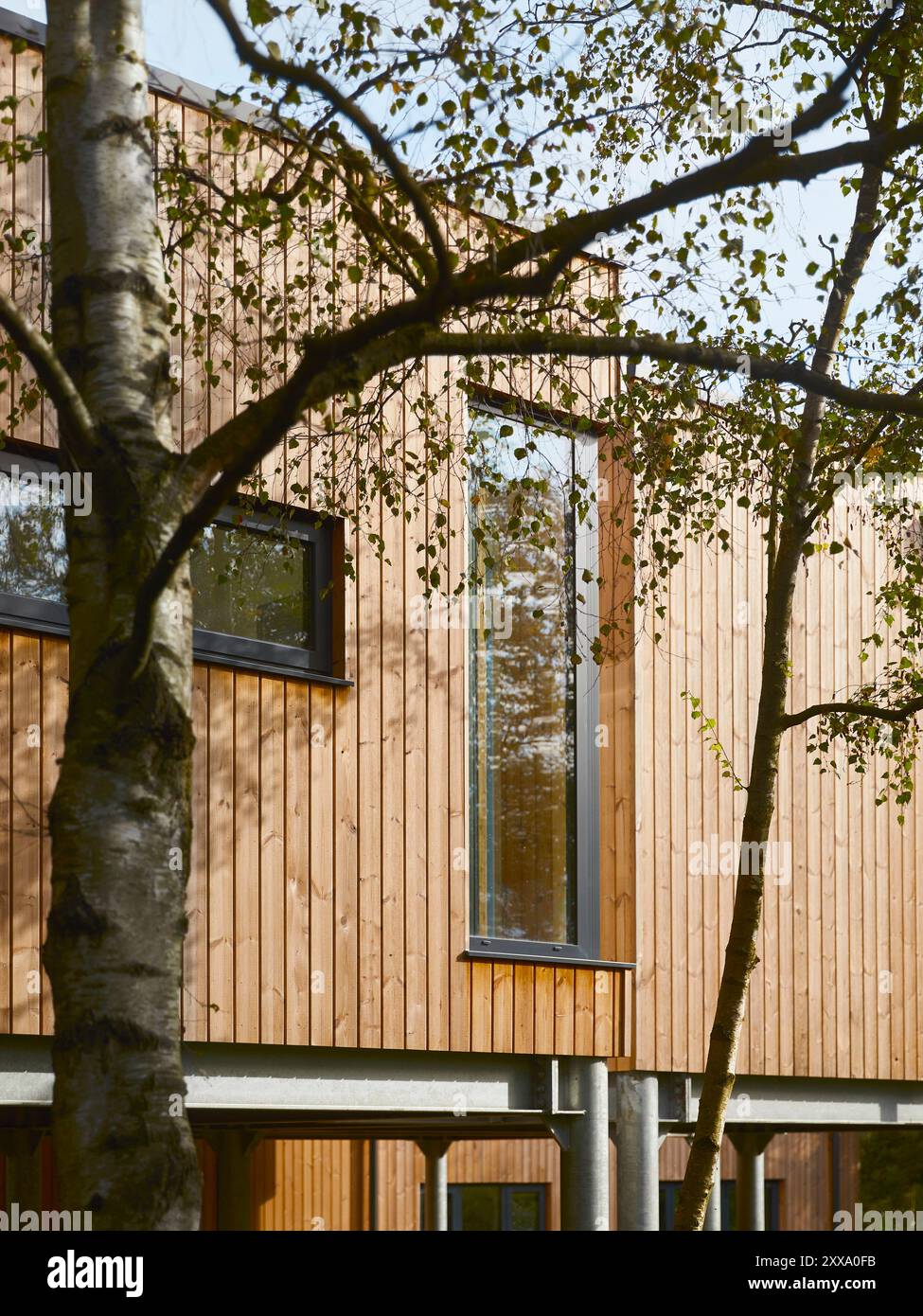 Detailansicht durch die Bäume der Holzverkleidung und Aluminiumfenster der Westhöhe des Hauses. Serenity - Scawby Brook, Scawby Brook, United King Stockfoto