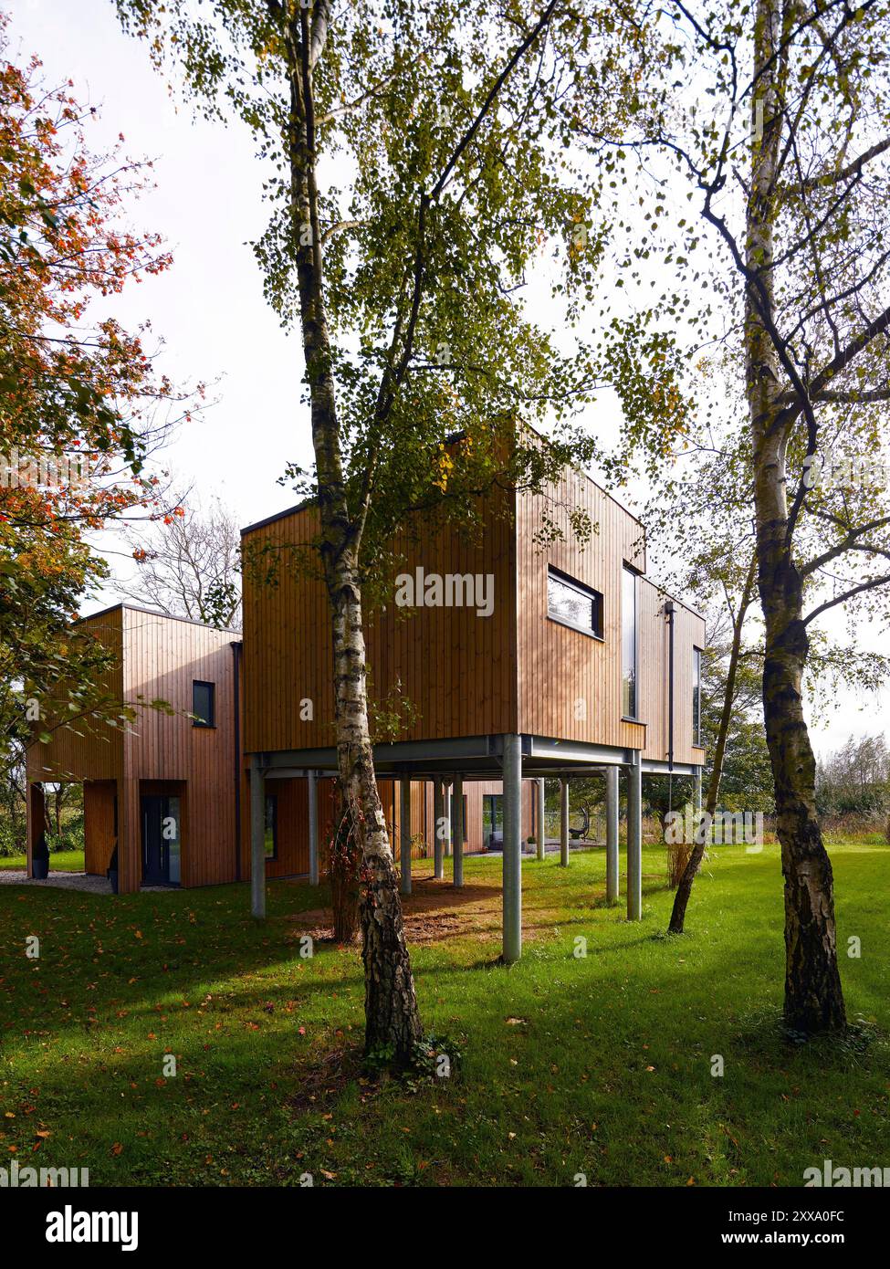 Westhöhe des Hauses, Holzverkleidung und Aluminiumfenster, Blick durch Bäume. Serenity - Scawby Brook, Scawby Brook, Großbritannien. Architekt: Ke Stockfoto