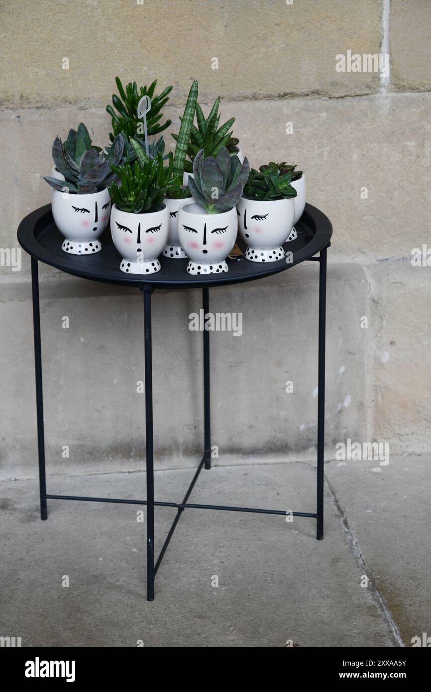 Verkauf von Pflanzen und Blumen Stockfoto