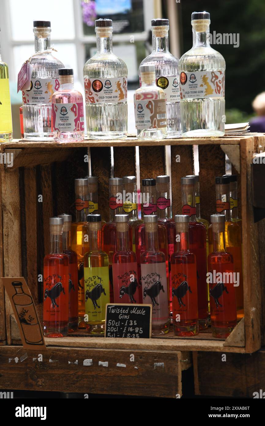 Anzeige der Gin-Flaschen Stockfoto