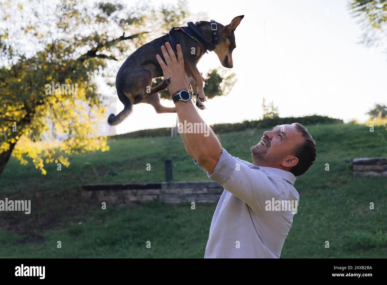 Ein lächelnder Mann mittleren Alters spaziert und spielt mit einem kleinen Hund im öffentlichen Park Stockfoto