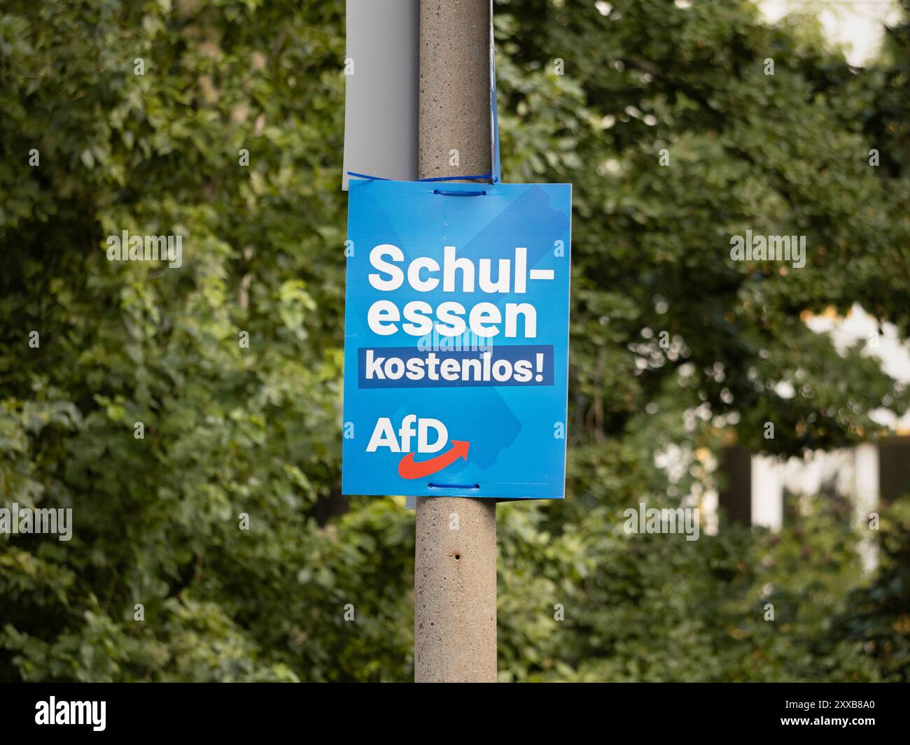 AFD-Wahlkampfplakat mit dem Slogan „Schulessen kostenlos!“ (Kostenlose Schulmahlzeiten) in der DDR zur Landtagswahl. Stockfoto