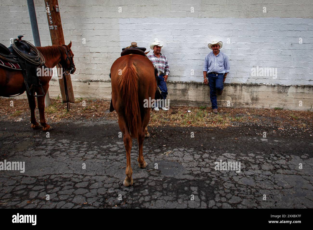 Rodeo Show im Uvalde County Fairplex Stockfoto