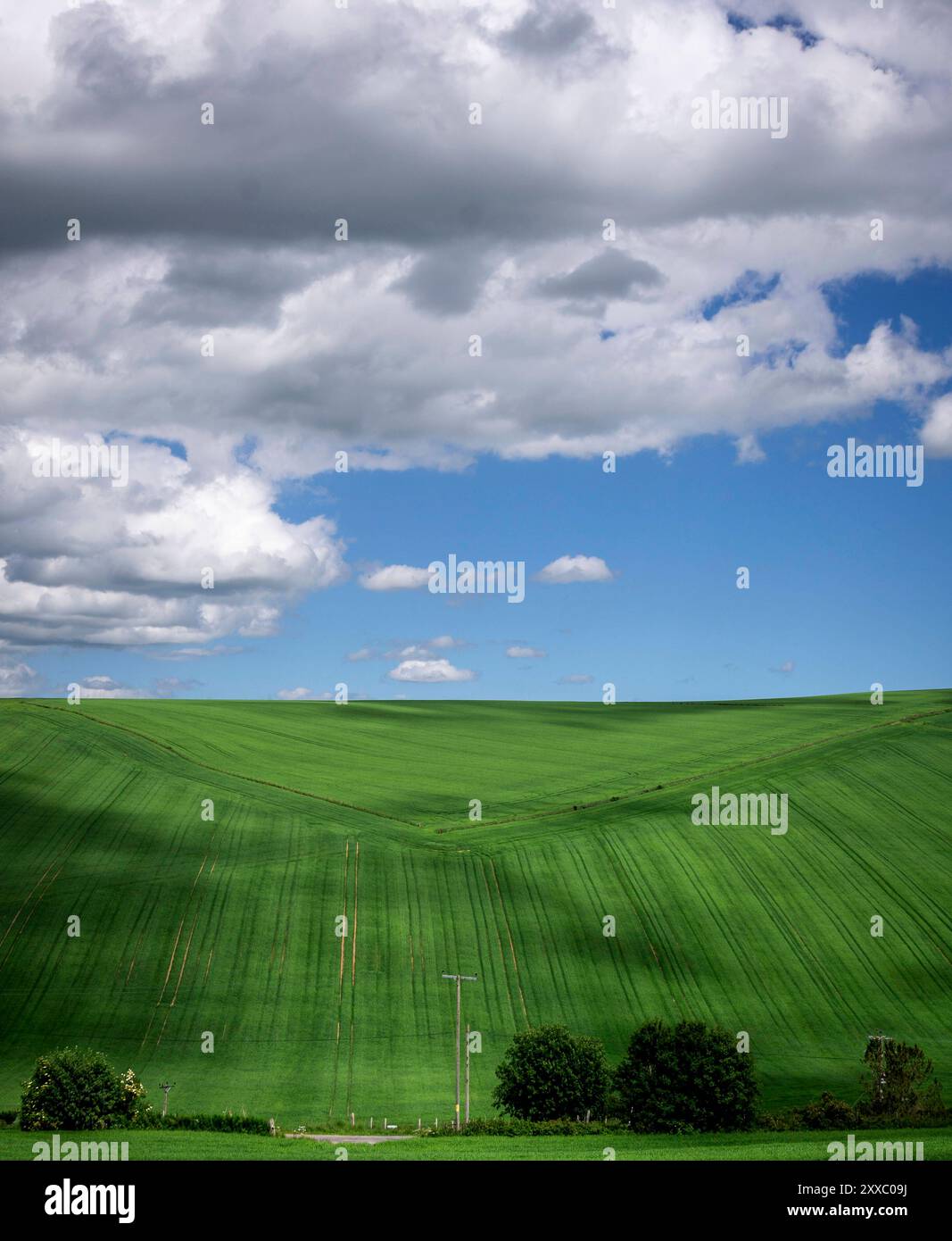 Aberdeen: Schottisches Grün.- sanfte Hügel und saftige Felder prägen die Landschaft in den schottischen Highlands nordwestlich von Aberdeen. Aberdeen Stockfoto