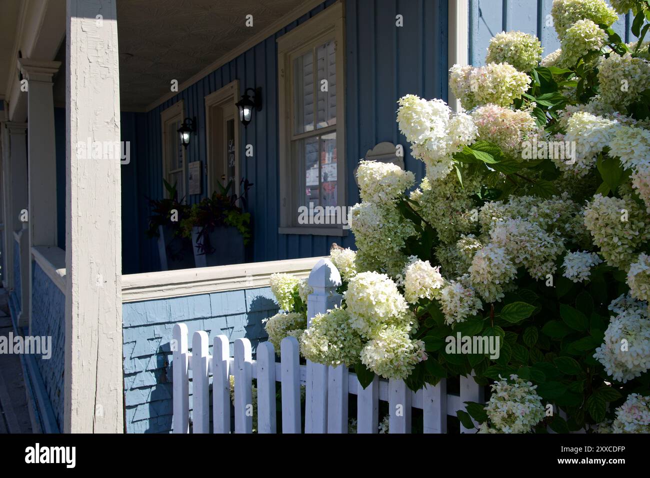 Der Vorgarten mit weißem Pfahlzaun und Veranda Stockfoto