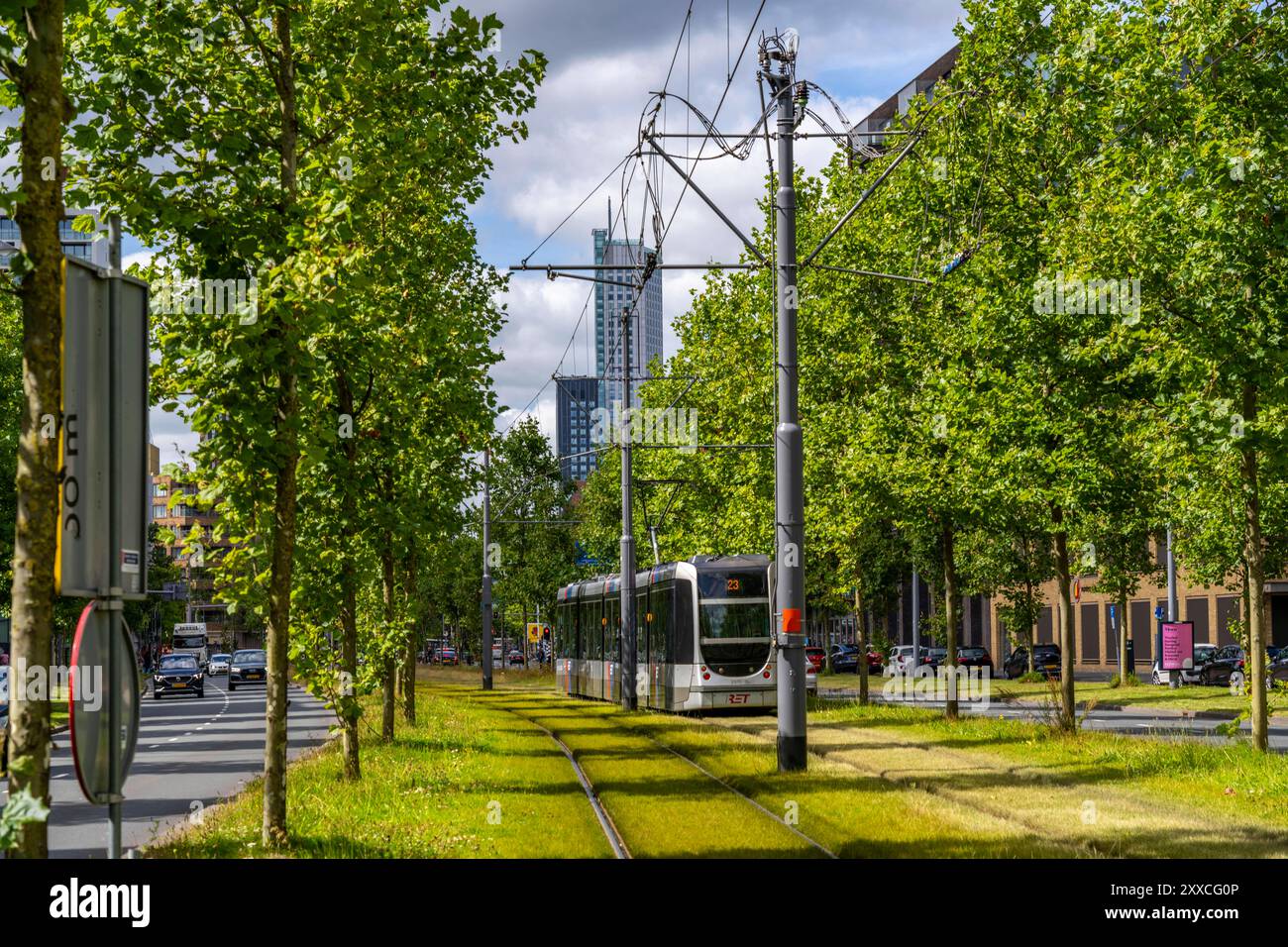 Stadtbegrünung, Innerstädtische Straße Laan op Zuid, im Rotterdamer Stadtteil Feijenoord, 4 Fahrspuren, 2 Straßenbahn Gleise, beidseitige Radwege, Gehwege und Parkstreifen, mit hunderten von Platanen begrünt, auf rund 1,5 KM, geben Schatten, kühlen im Sommer, Straßenbahngleise mit Rasenoberfläche, weniger Flächenversiegelung, Stadtklima, Mikroklima in der Stadt, Rotterdam, Niederlande Stadtgrün Rotterdam *** Stadtgrün Rotterdam *** Stadtbegrünung, innerstädtische Straße Laan op Zuid, im Rotterdamer Stadtteil Feijenoord, 4 Fahrspuren, 2 Straßenbahnwege, Radwege beidseitig, Fußwege und Parkwege, bepflanzt mit h Stockfoto