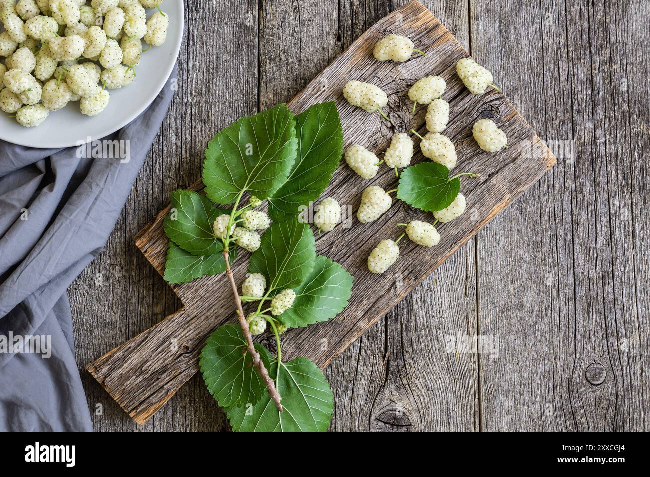 Frische weiße Maulbeeren im Teller mit Zweig auf hölzernem Hintergrund, Sommerfrucht-Konzept Stockfoto