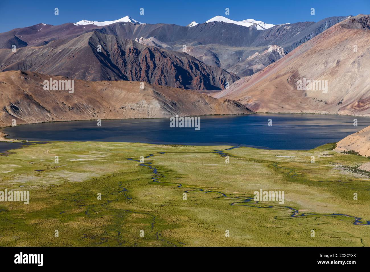 Yayatso, ein hochgelegener See in Ladakh, Indien. Ein neuer Biodiversitäts-Hotspot in einer Höhe von 4820 Metern. Stockfoto