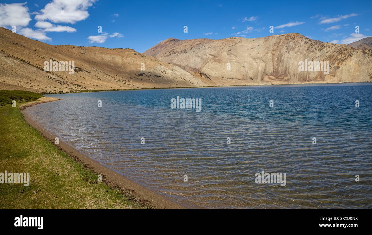 Grasland am Ufer des Yayatso, einem hochgelegenen See in Ladakh, Indien. Ein neuer Biodiversitäts-Hotspot in einer Höhe von 4820 Metern. Stockfoto