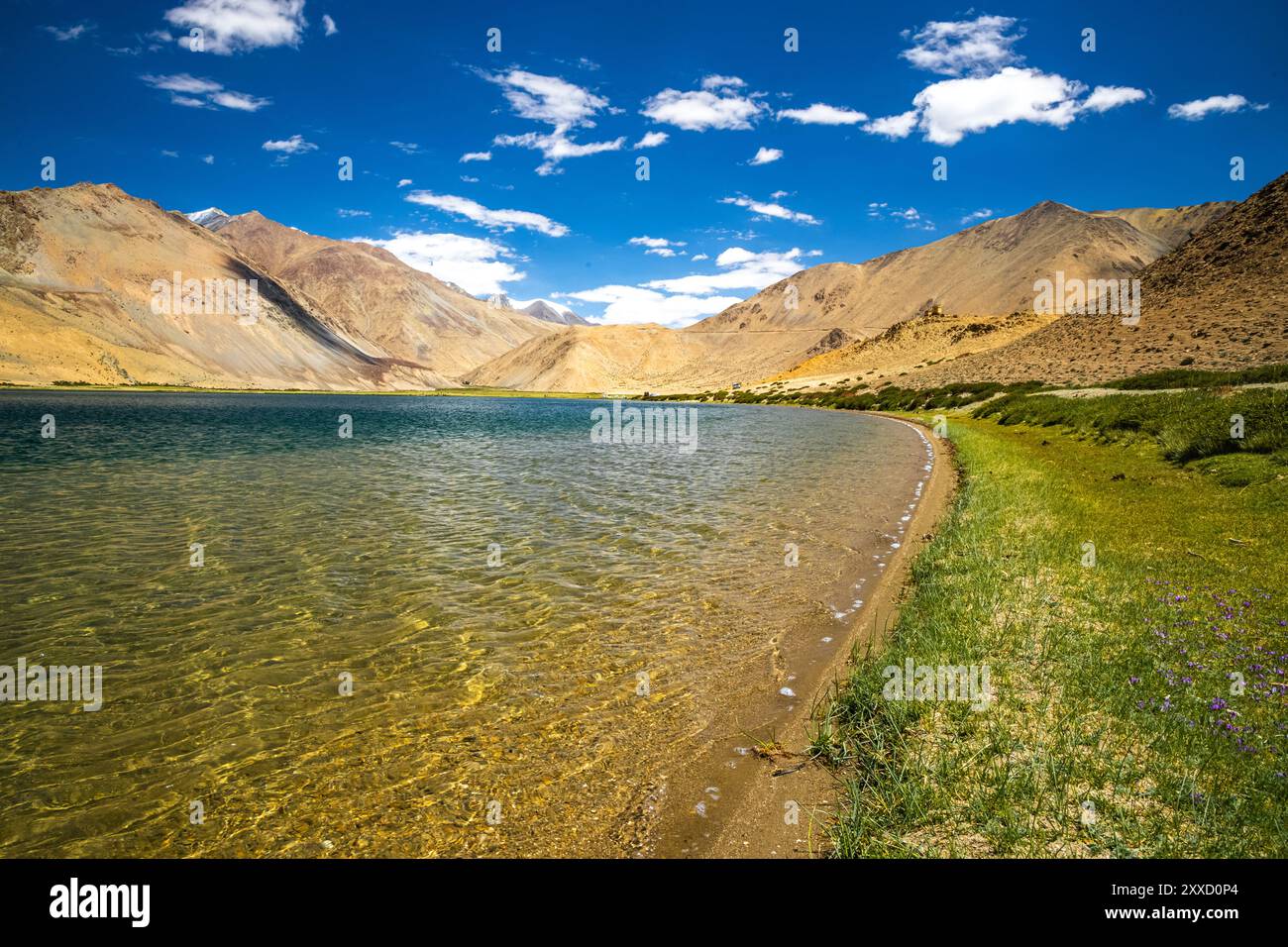 Grasland am Ufer des Yayatso, einem hochgelegenen See in Ladakh, Indien. Ein neuer Biodiversitäts-Hotspot in einer Höhe von 4820 Metern. Stockfoto