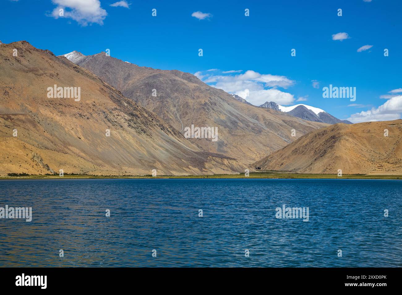 Es kräuselt sich im klaren Wasser des Yayatso, einem hochgelegenen See in Ladakh, Indien. Ein neuer Biodiversitäts-Hotspot in einer Höhe von 4820 Metern. Stockfoto