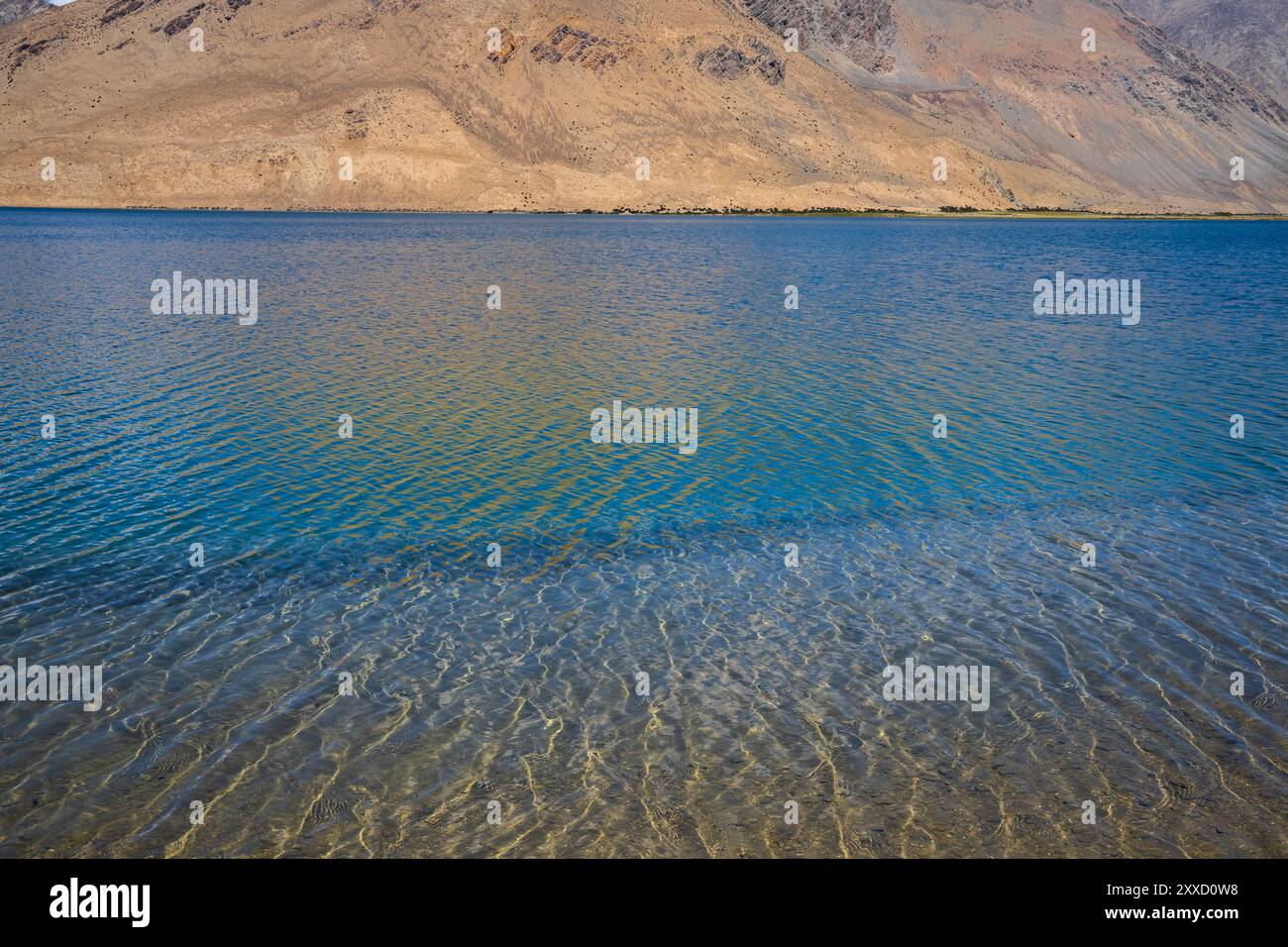 Es kräuselt sich im klaren Wasser des Yayatso, einem hochgelegenen See in Ladakh, Indien. Ein neuer Biodiversitäts-Hotspot in einer Höhe von 4820 Metern. Stockfoto