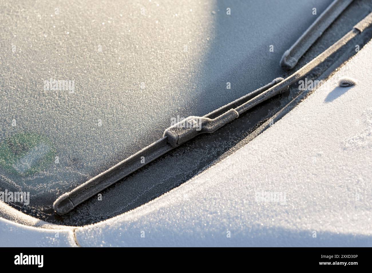 Windschutzscheibe eines weißen Autos im Winter Stockfoto