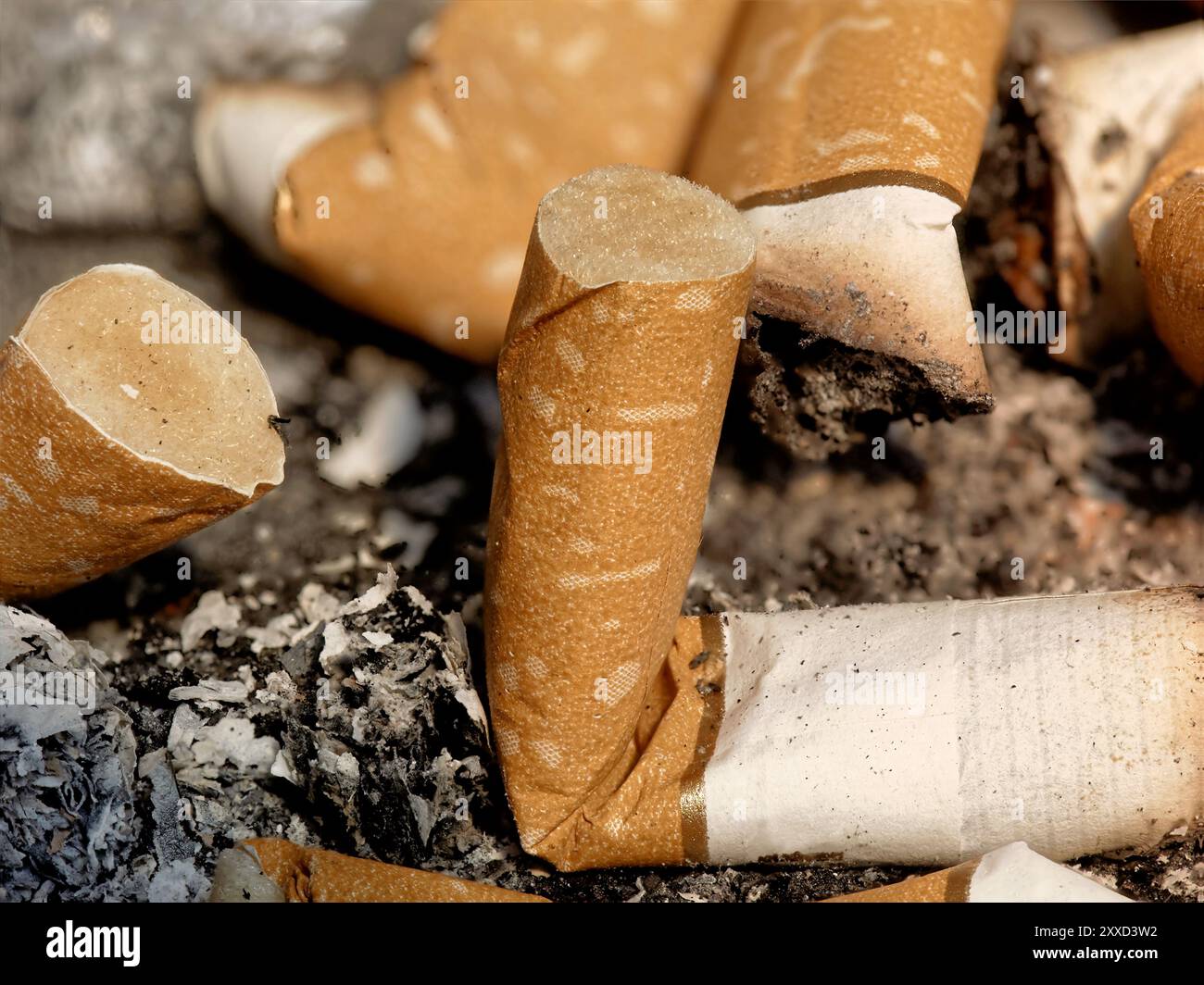 Aschenbecher mit Zigaretten Stockfoto