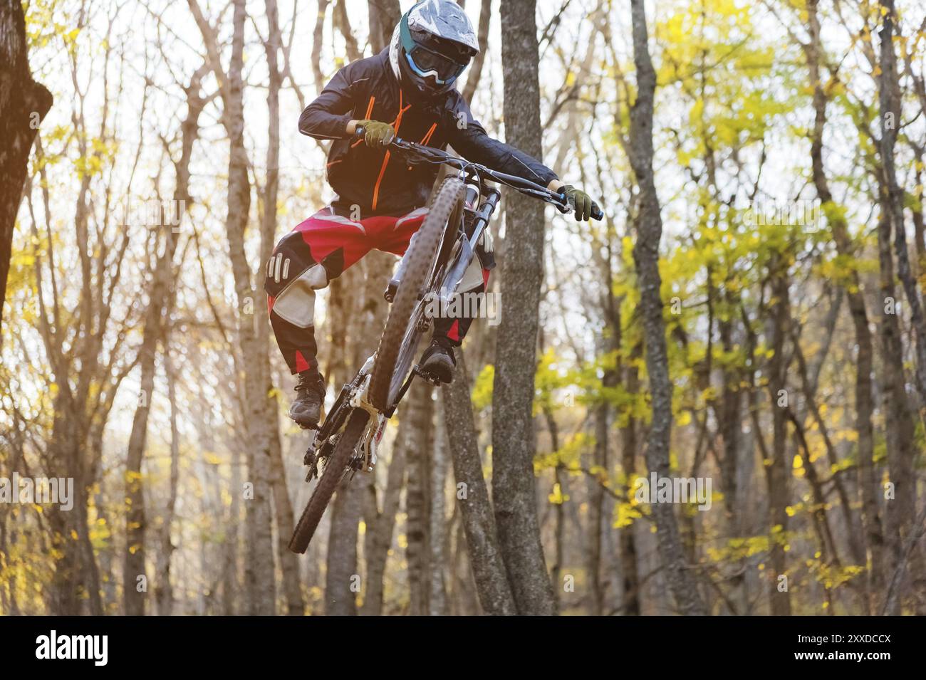 Ein junger Fahrer am Rad seines Mountainbikes macht einen Trick beim Springen auf dem Sprungbrett des bergab Bergwegs im Herbstwald. Die Co Stockfoto