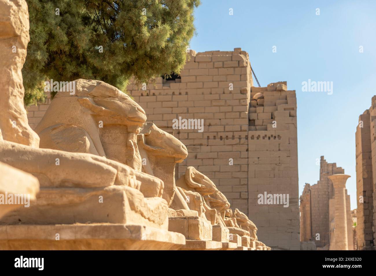 Die Avenue der Sphinxes bietet eine heilige Passage zwischen den Tempeln von Karnak und Luxor. Flankiert von Reihen rätselhafter Sphinxe. Stockfoto