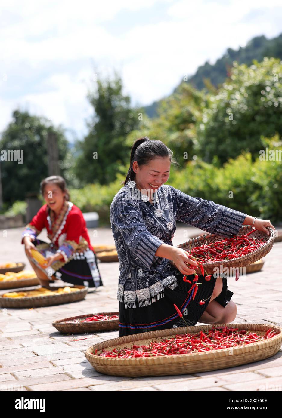 QIANDONGNAN, CHINA - 24. AUGUST 2024 - die Dorfbewohner trocknen Chili und Mais im Dorf Miaoluo in der autonomen Präfektur Miao und Dong, Sou Stockfoto