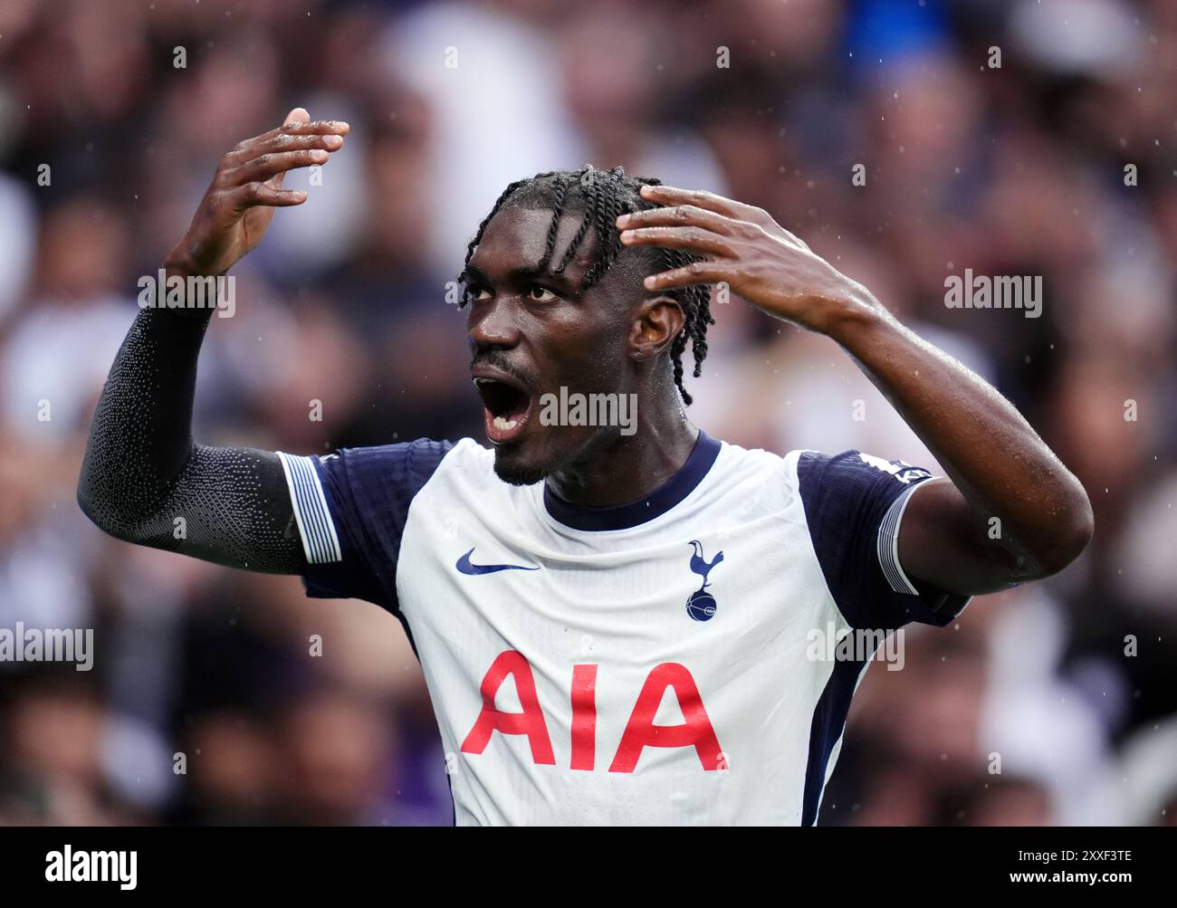 Yves Bissouma von Tottenham Hotspur feiert das erste Tor ihrer Mannschaft während des Premier League-Spiels im Tottenham Hotspur Stadium in London. Bilddatum: Samstag, 24. August 2024. Stockfoto