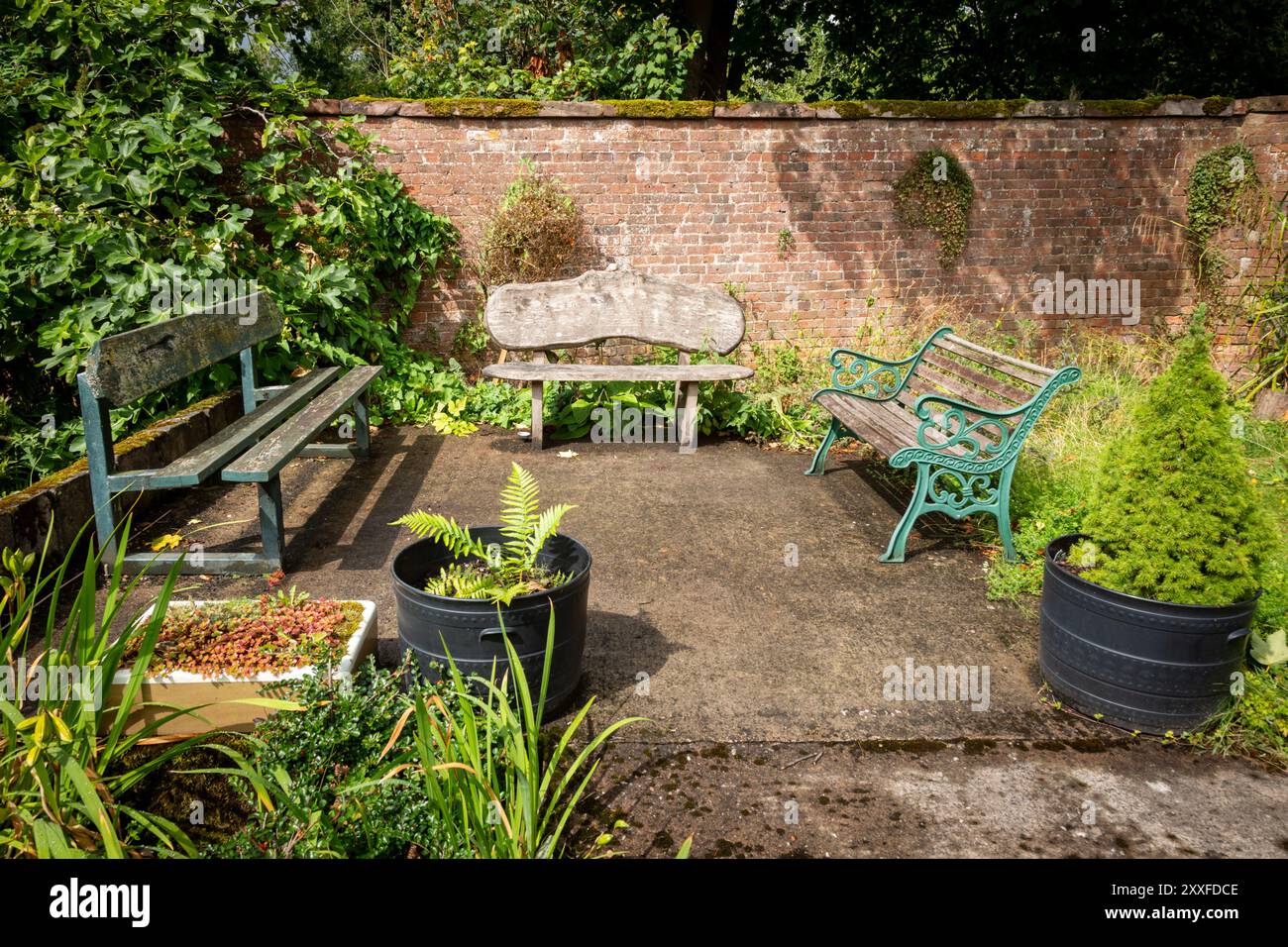 Gartenbänke in einer ruhigen Ecke eines großen Gartens, UK.2024 Stockfoto