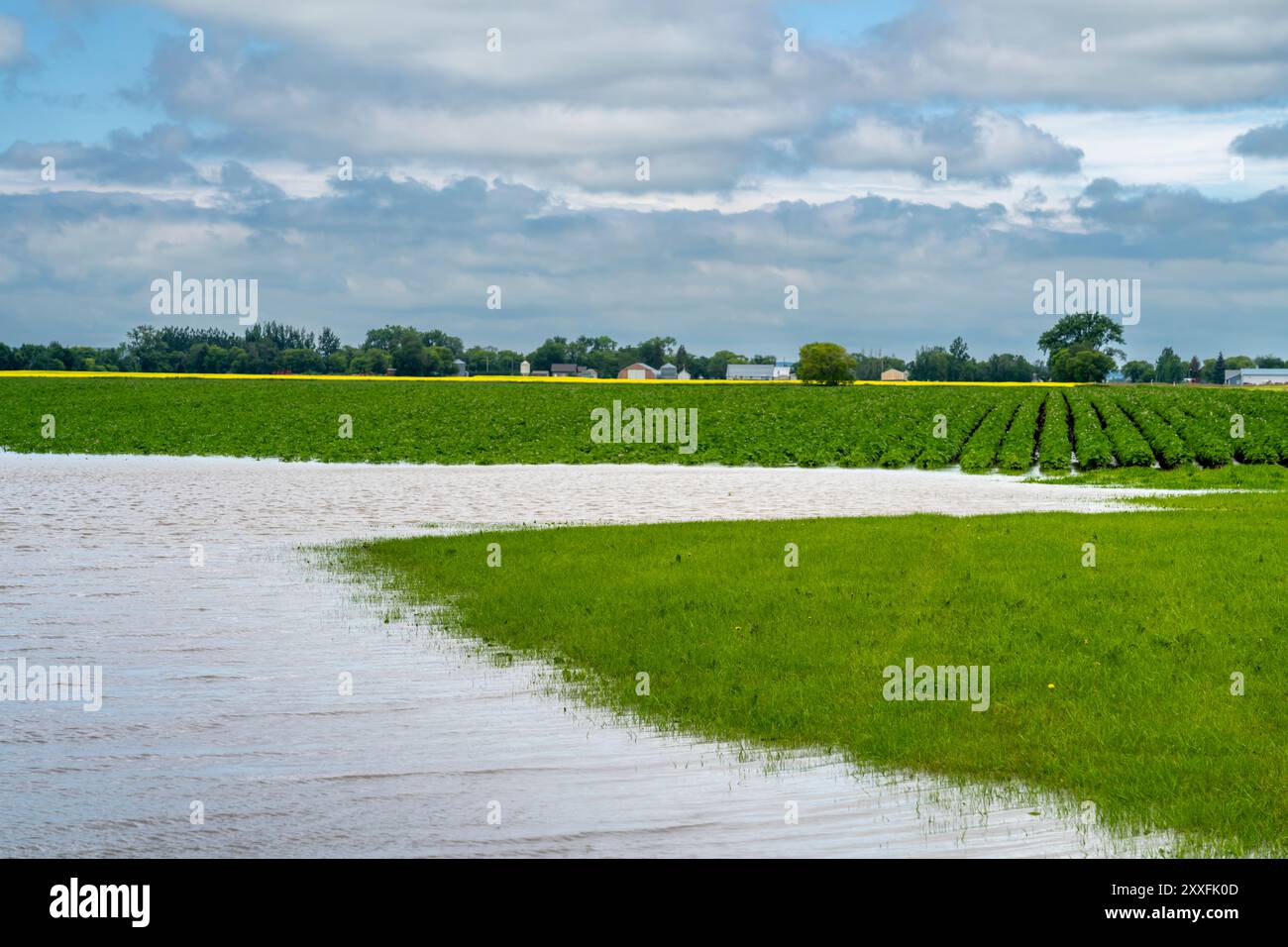 Überflutete Felder nach starken Regenfällen in der Nähe von Schanzenfeld, Manitoba, Kanada. Stockfoto