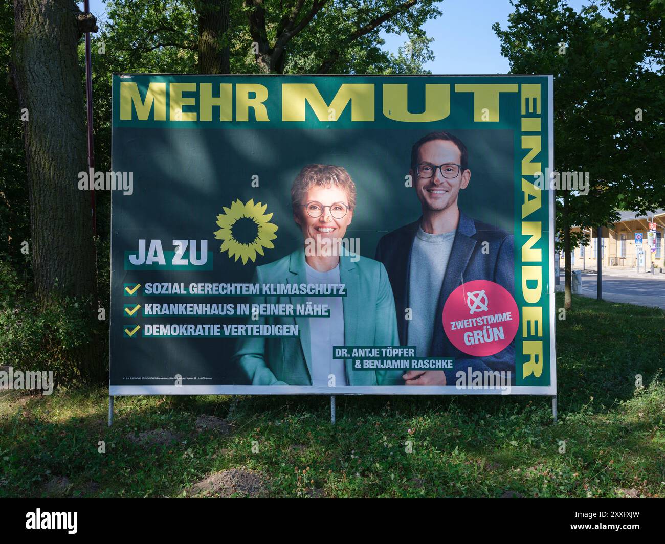 HOPPEGARTEN, DEUTSCHLAND - 24. AUGUST 2024: Reklametafel der Grünen Partei für die landtagswahl 2024 in Brandenburg. Stockfoto