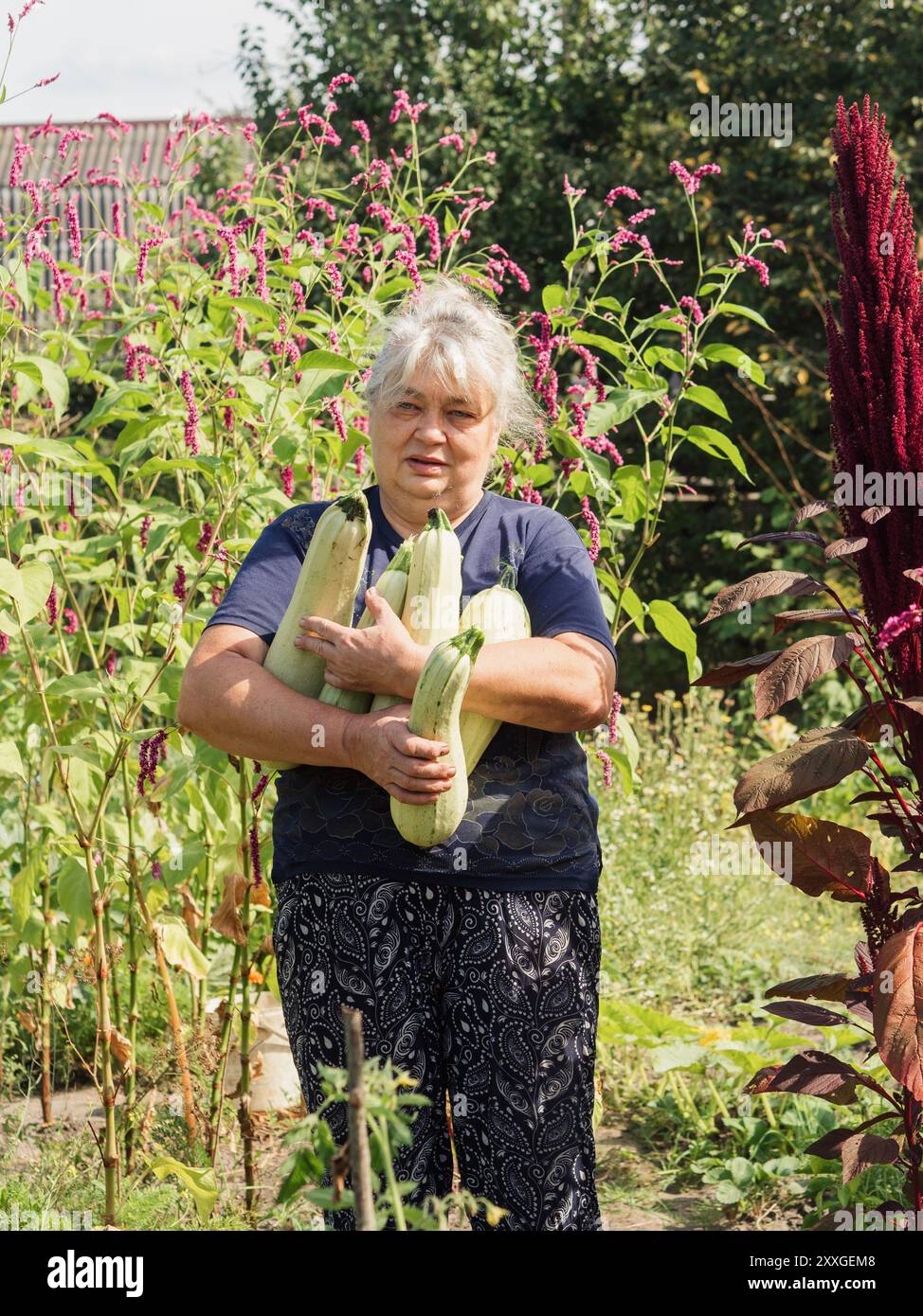 Proud Harvest: Vertikales Porträt einer älteren ukrainischen Frau mit frisch geerntetem Zucchini im Dorf Volyn Stockfoto