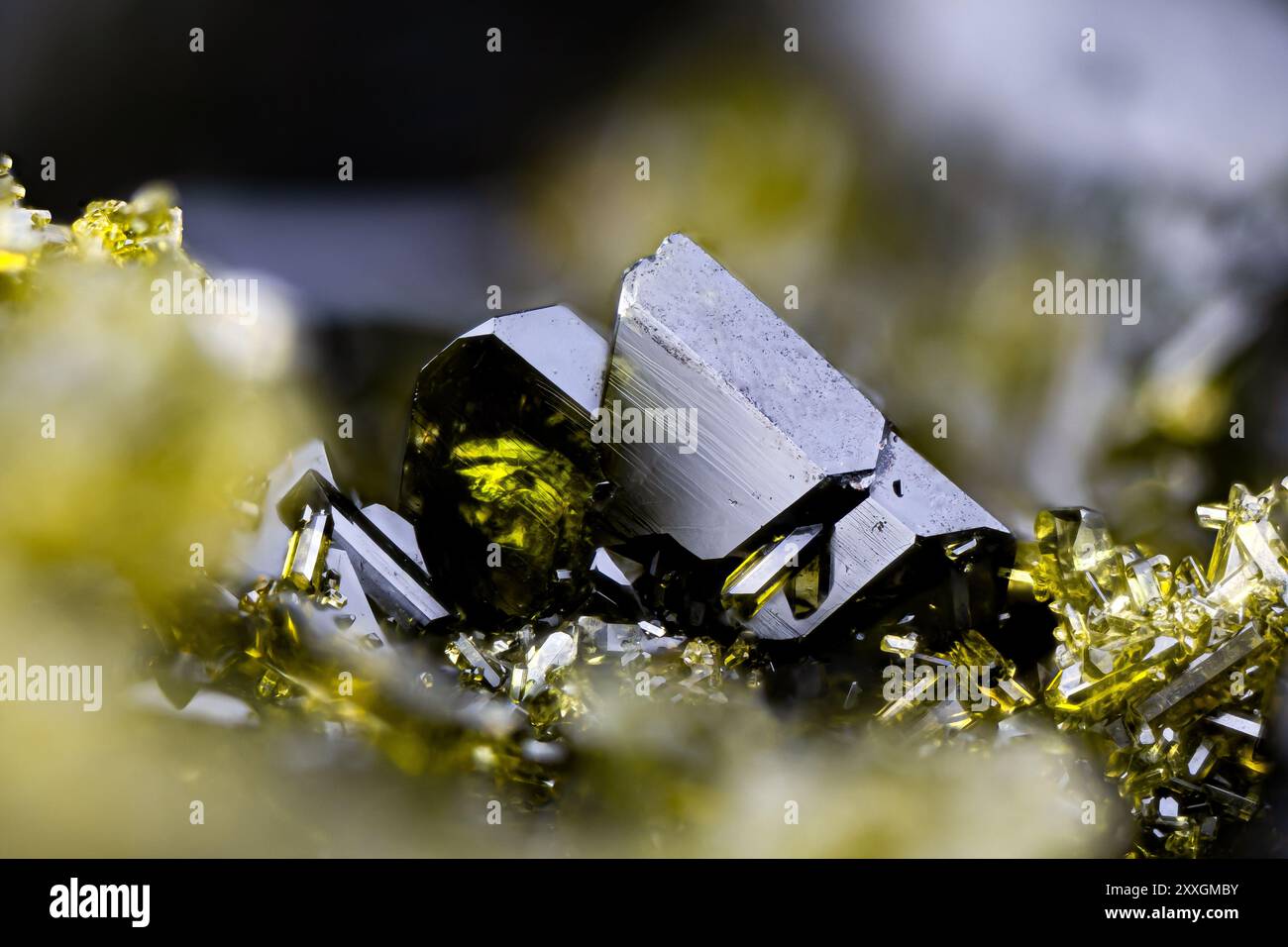 Dunkelgrüner Epidote-Cluster, Exemplar aus der Türkei. Mikrofotografie extreme Nahaufnahme. Mikroskop-Mineralkristallfotografie für wissenschaftliche Zwecke. Stockfoto