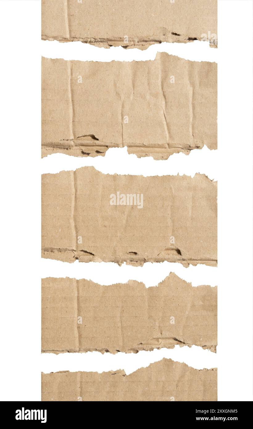 Abgerissene Stücke aus Wellpappe auf weißem Hintergrund, die Textur und Einzigartigkeit im Design demonstrieren. Stockfoto