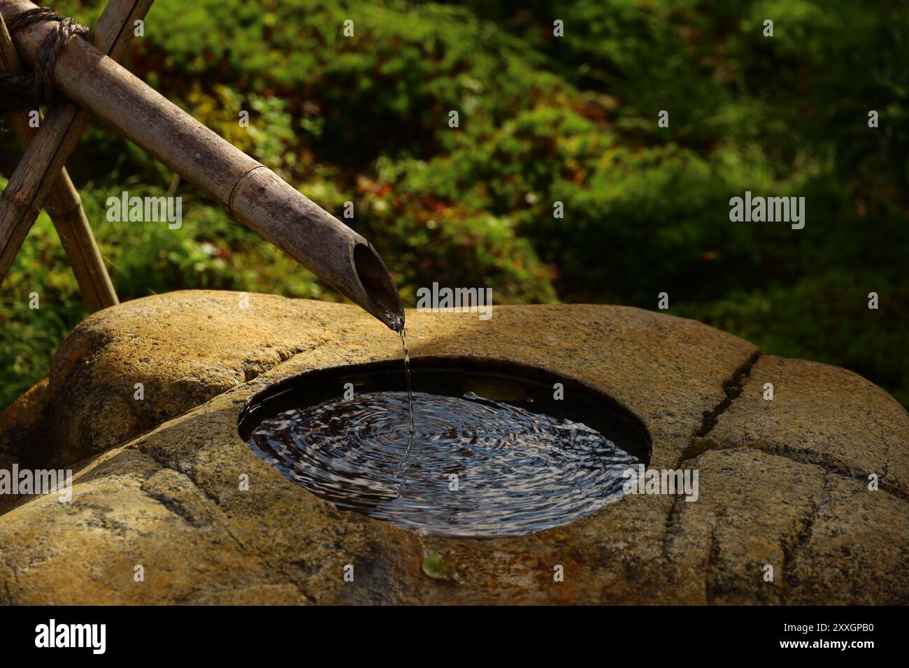 Bambus-Wasserauslauf in einem japanischen Garten Stockfoto