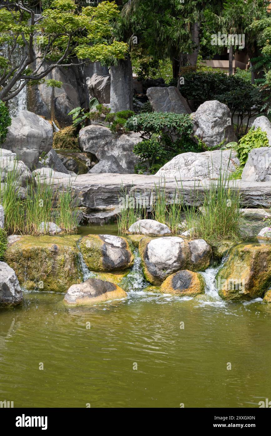 Landschaft Stadtdesign, öffentlicher Stadtpark im japanischen Stil mit Steinen, Bonsaikiefern, Blumen, kleinen Brücken, Wasserfällen im Zentrum von Monte-Carlo Stockfoto