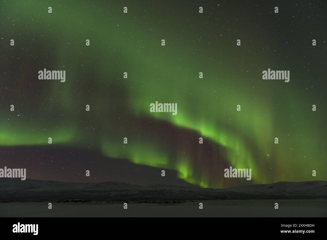 Nordlichter (Aurora borealis) über dem gefrorenen See Tornetraesk, Norrbotten, Lappland, Schweden, Januar 2014, Europa Stockfoto