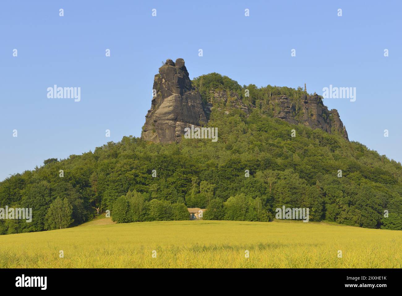 Tafelberg Lilienstein im Elbsandsteingebirge, Sächsische Schweiz. Sächsische Schweiz Stockfoto