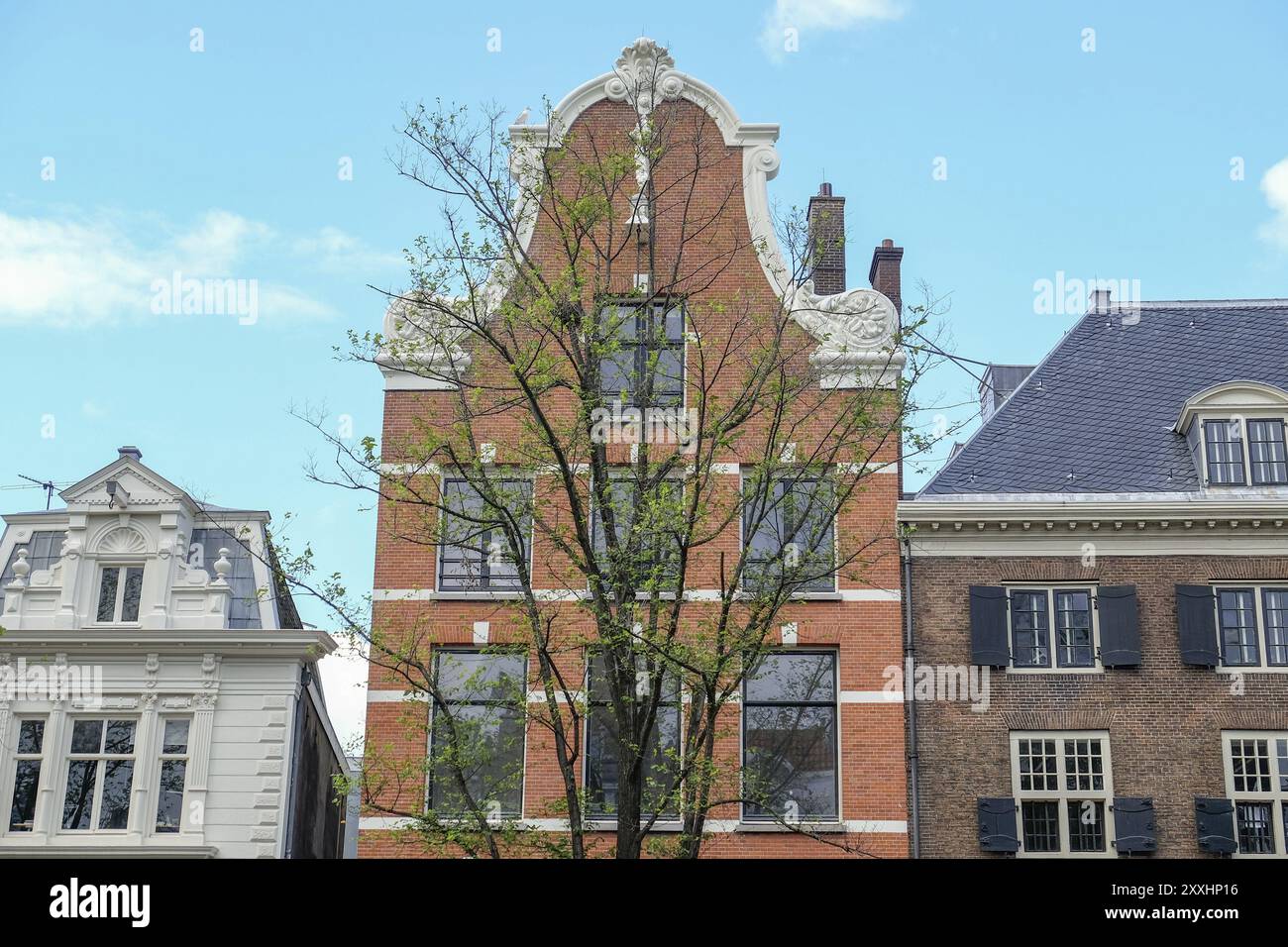 Gebäude mit malerischer Fassade und Bäumen im Vordergrund, Amsterdam, Niederlande Stockfoto