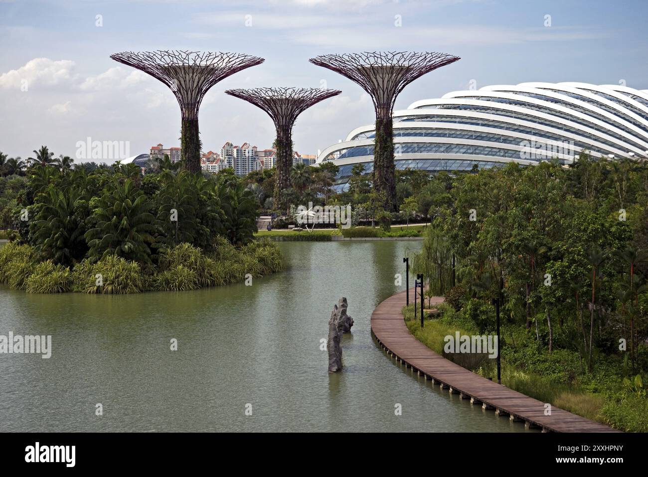 Gärten an der Bucht, Singapur, Asien Stockfoto