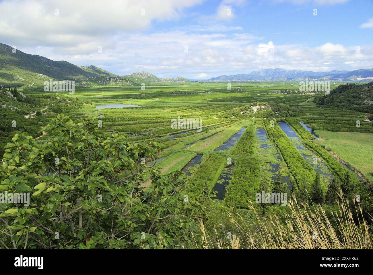 Neretva Delta Stockfoto